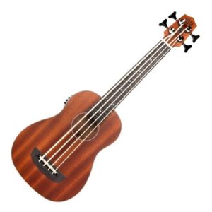 Uheldig Jeg har erkendt det Enrich Bass ukulele – All about the Bass | Ukulelemad
