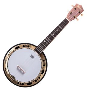 Resonator banjolele