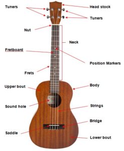 Parts of the ukulele, named and explained. | Ukulelemad